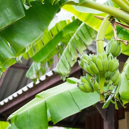 Weekender Bungalow Lamai Beach  Exterior foto