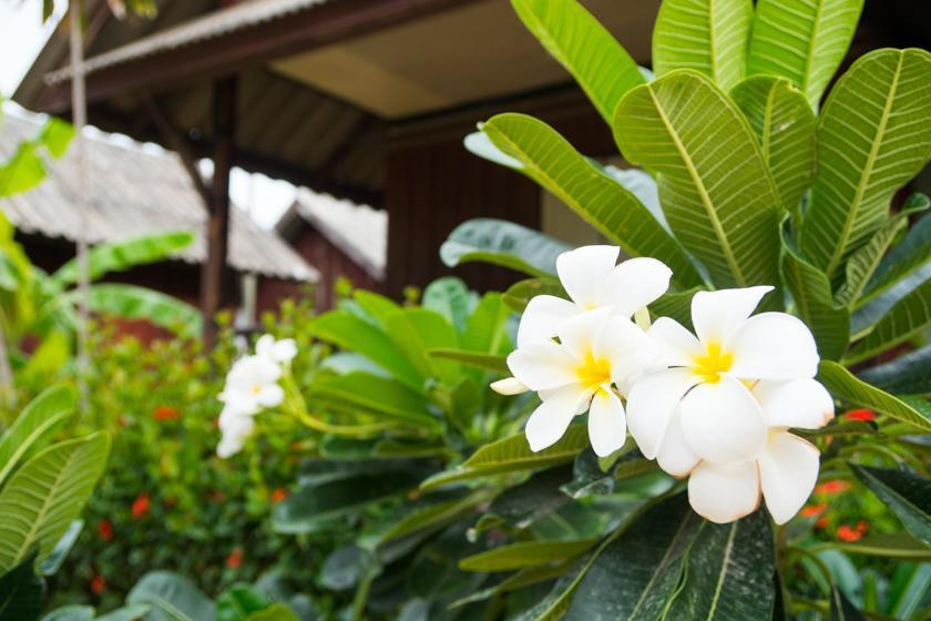 Weekender Bungalow Lamai Beach  Exterior foto